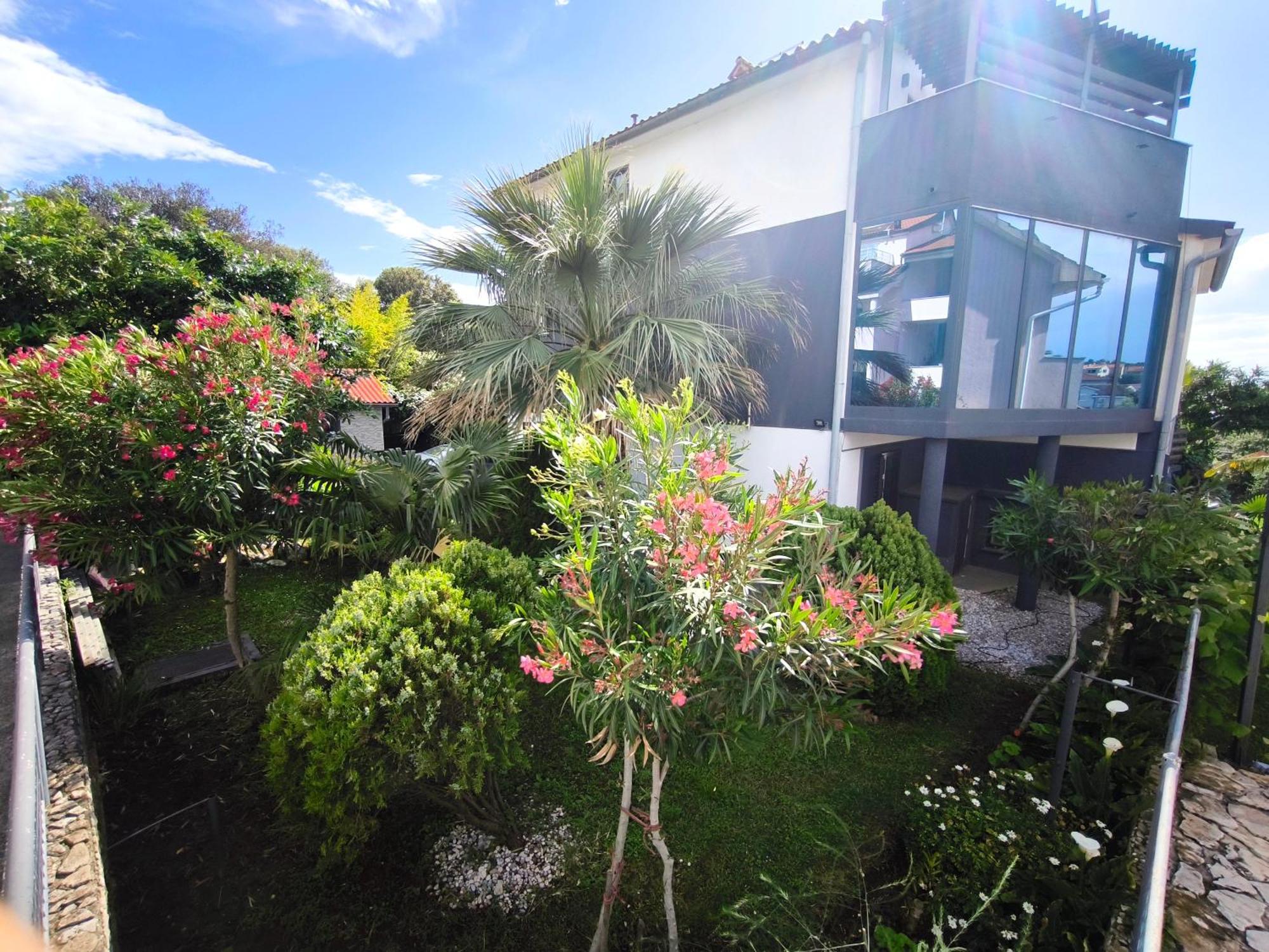 Apartman Andrea Pula